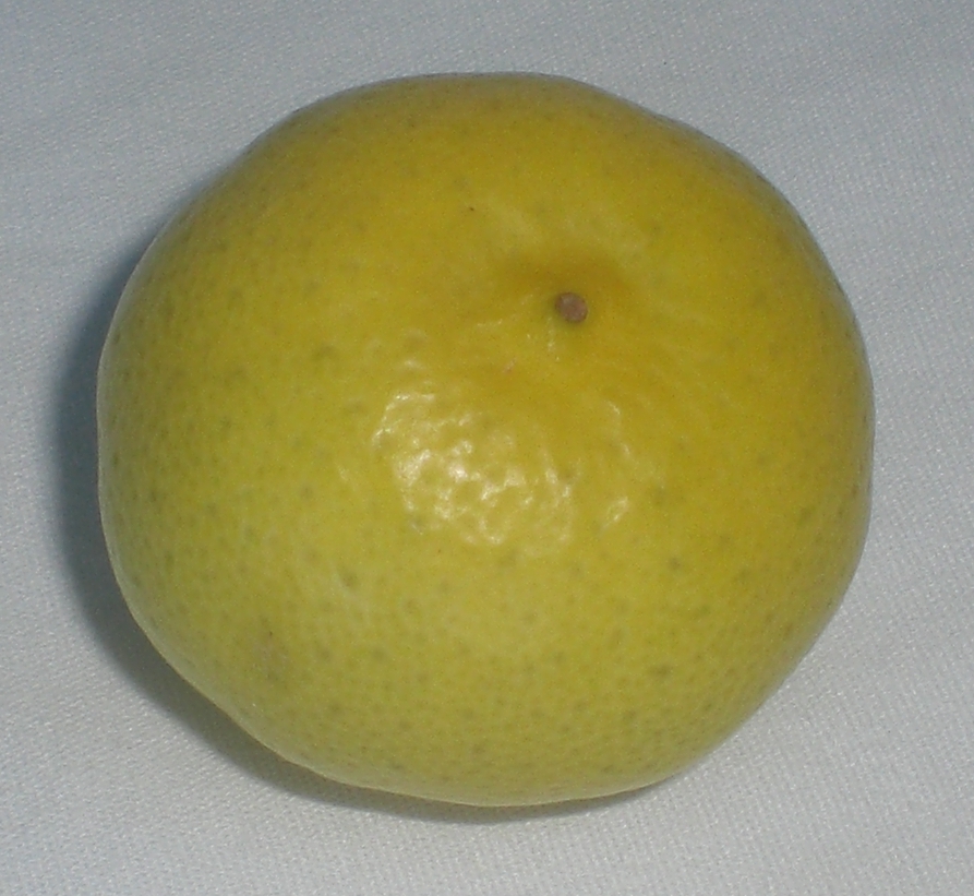 Lime